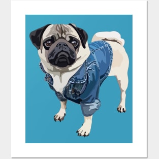 Pug in a blue denim jacket Posters and Art